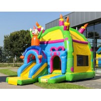 Jumping Bouncer Inflatable Bouncy Castle Bounce House With Water Slide